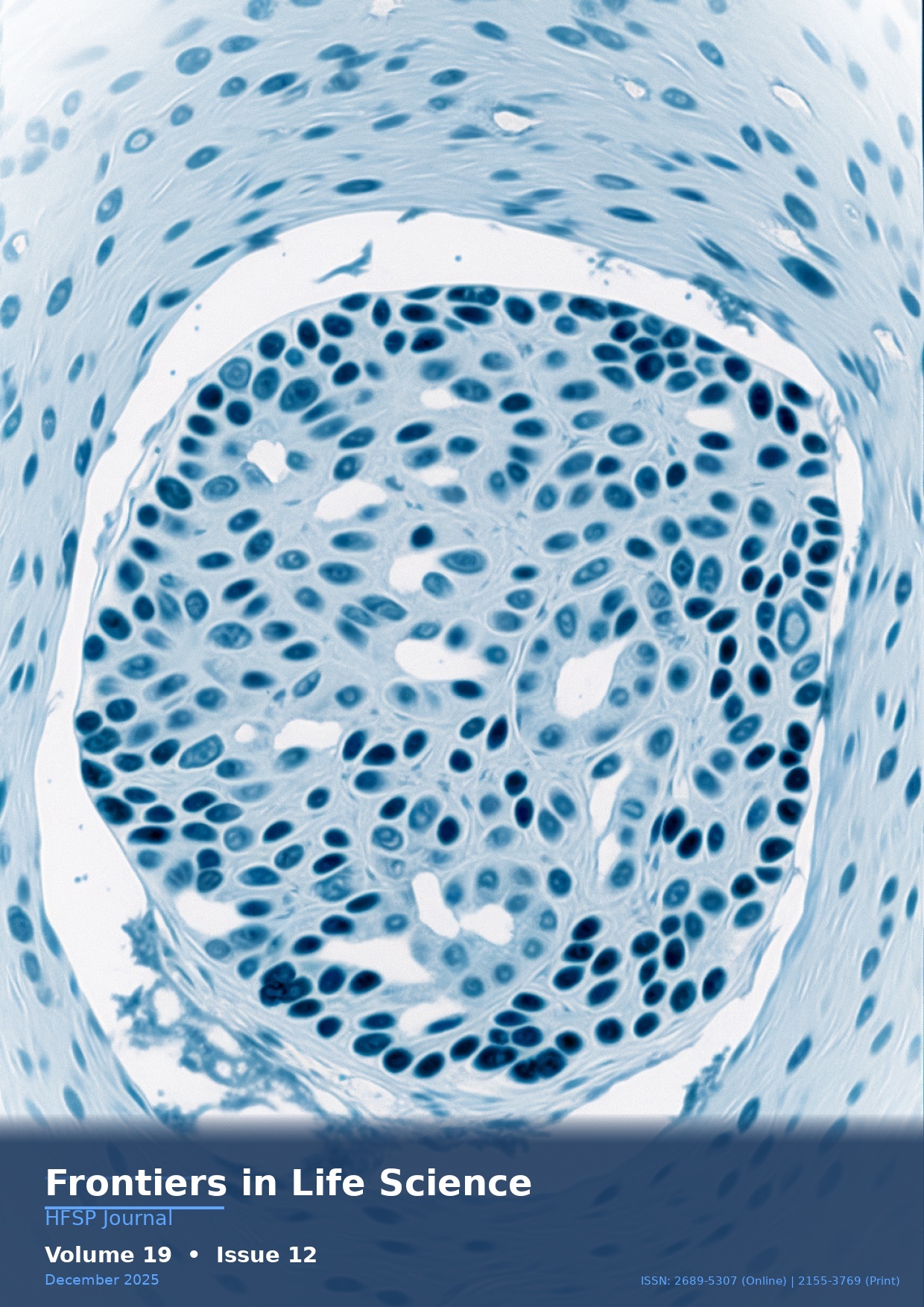 Cover - Volume 19, Issue 12