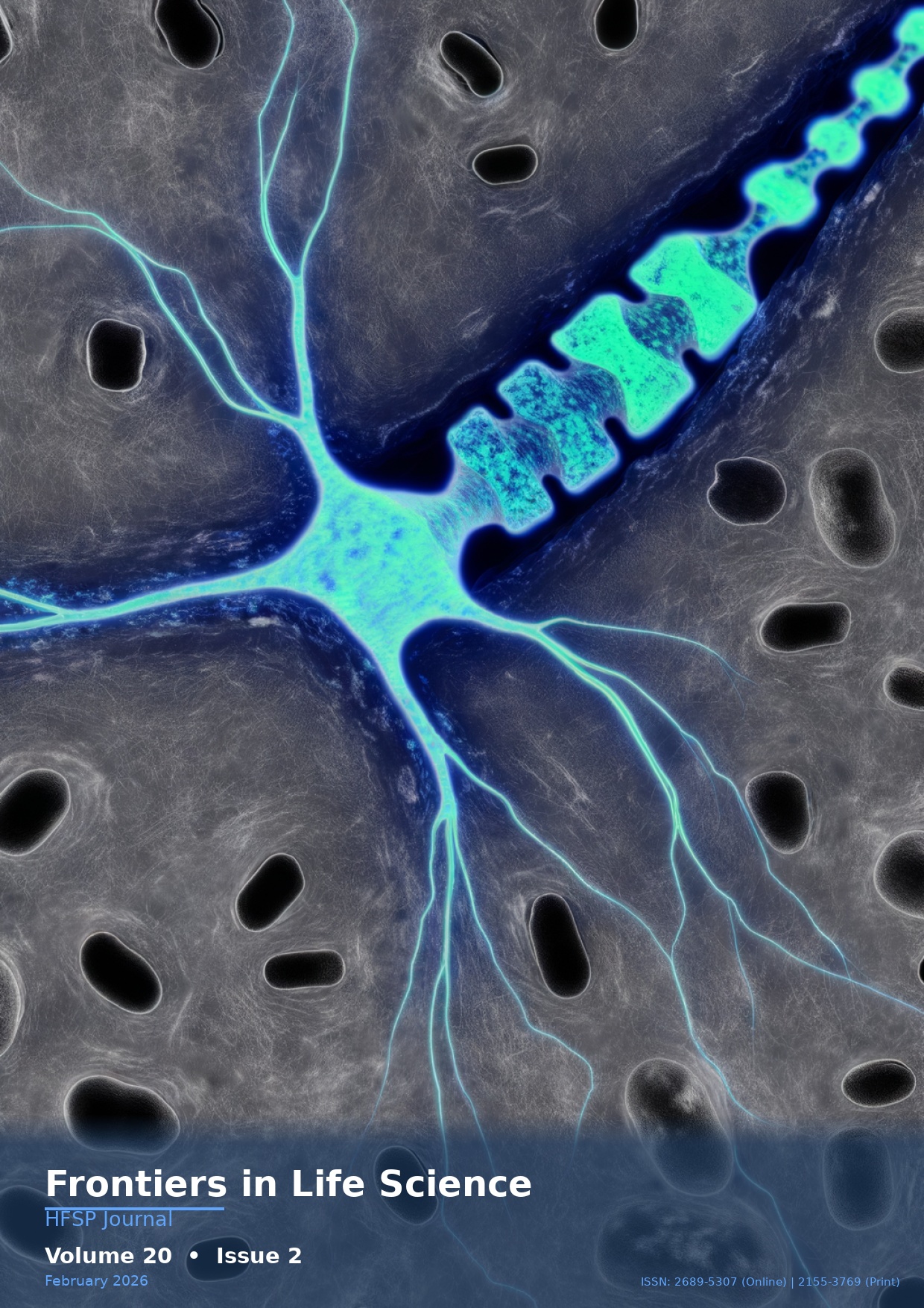 Cover - Volume 20, Issue 2